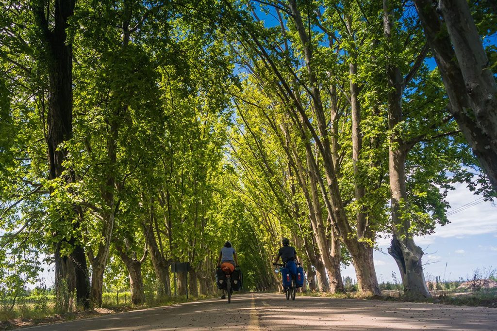 Bicycle tour in San Rafael, Mendoza, Argentina