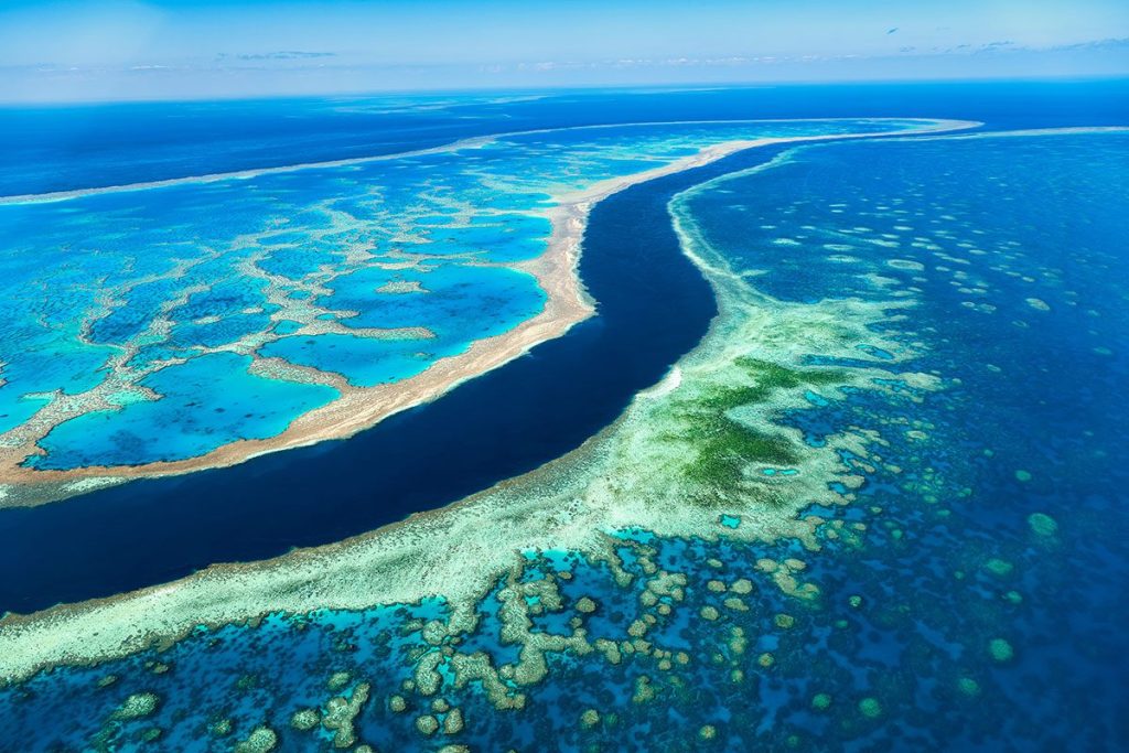 Great Barrier Reef, Whitsundays, Queensland, Australia