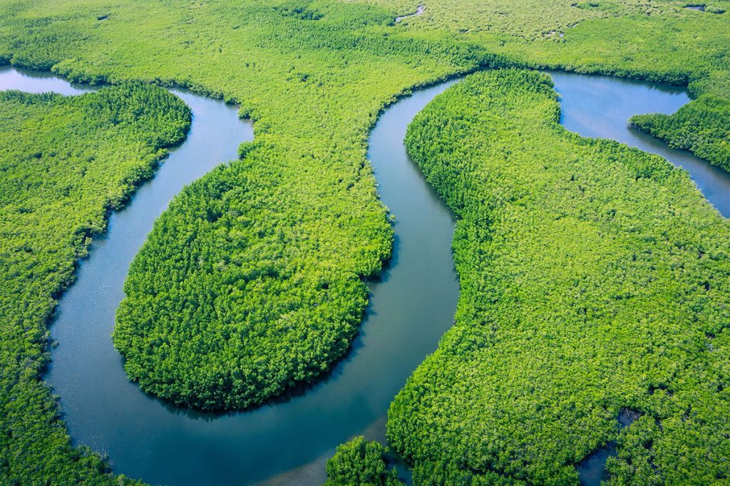 Aerial view of the Amazon rainforest