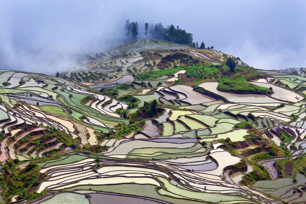 Terraced rice fields during the water season of Hani ethnic people in Yunnan province, China.