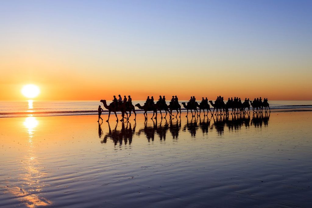 Camels on the beach at sunset in Broome, Western Australia.
