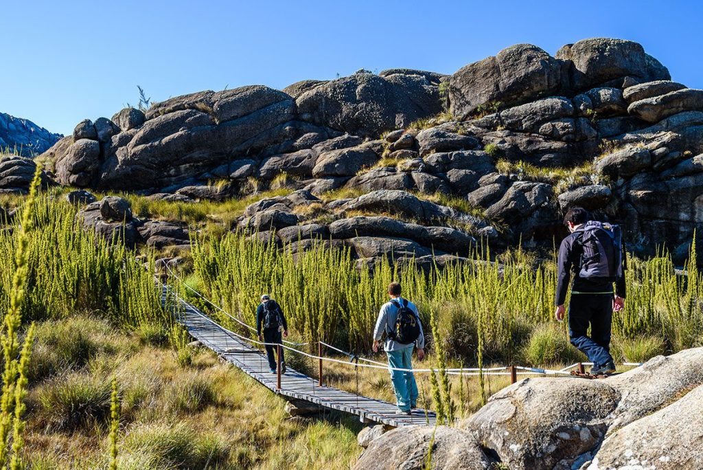 Hikers on a trail in Itatiaia National Park