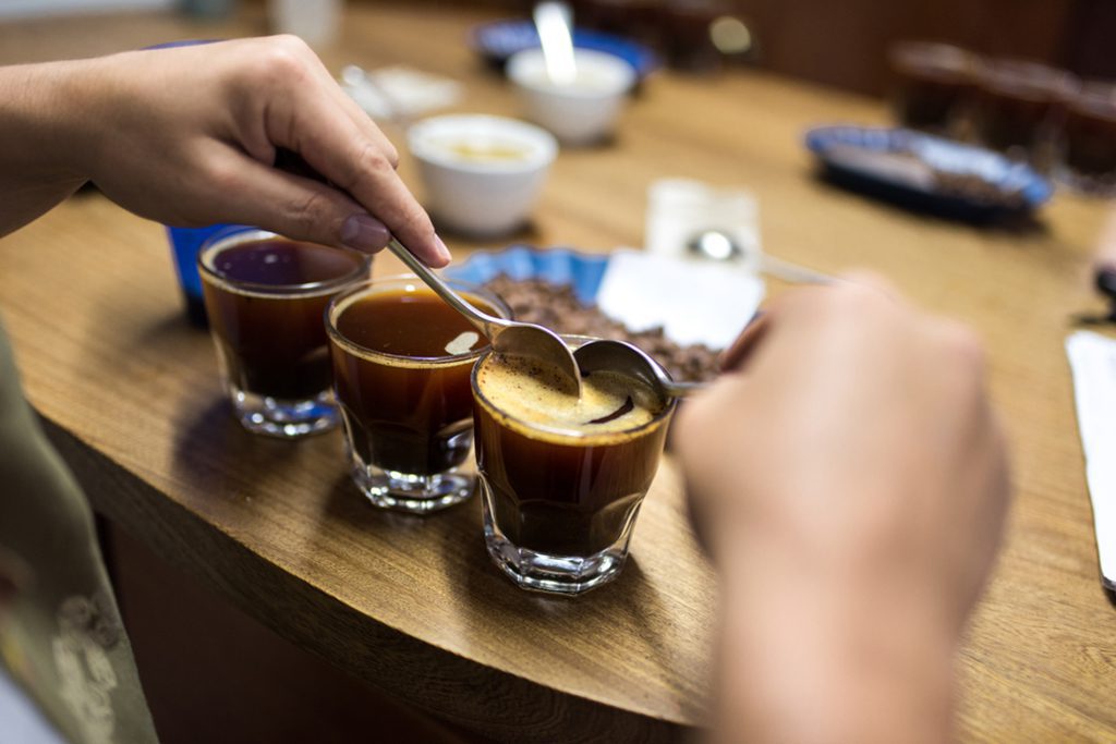 Professional coffee cupping and tasting in Colombia. Photo taken by Benedict Kraus."