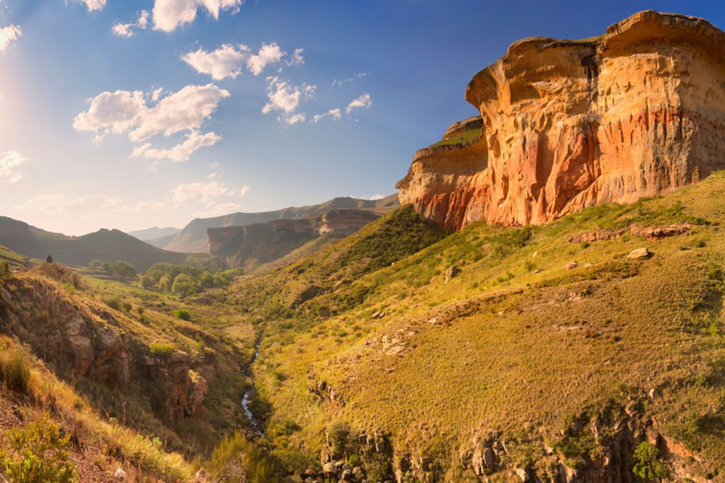 Scenic view of Golden Gate Highlands National Park with mountains and trees in the foreground during late afternoon sunlight