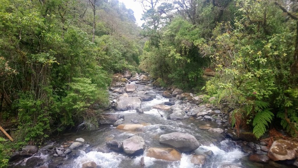 River in Panamanian rainforest, Darién National Park