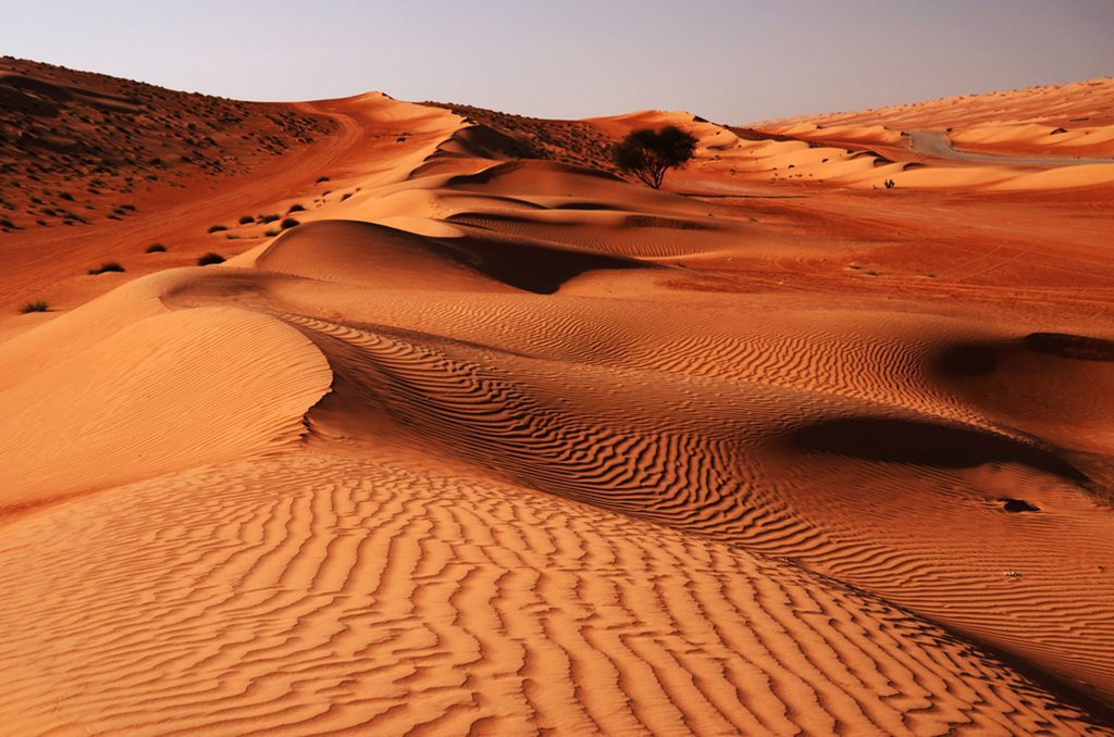 Wahiba Sands desert in Oman