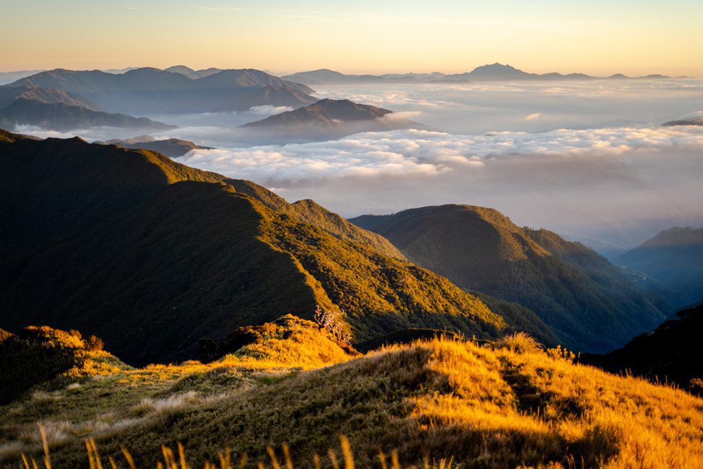 Scenic view of the sea of clouds at the summit of Mount Pulag National Park, Philippines