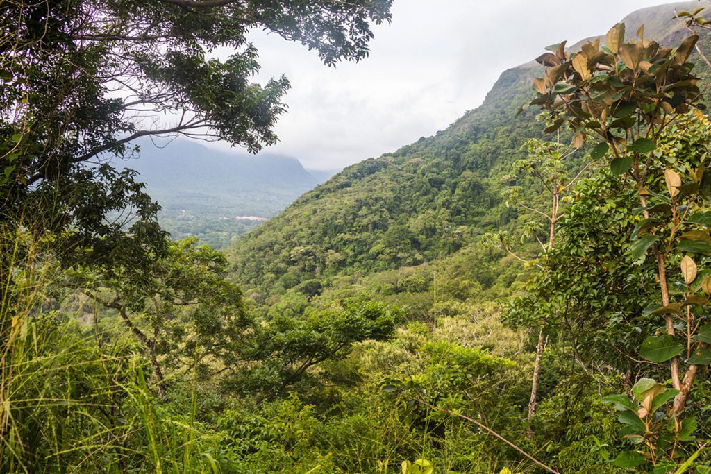 View of the Crater Rim and jungle in El Valle de Anton, Panama. Photo taken by Robin Runck."