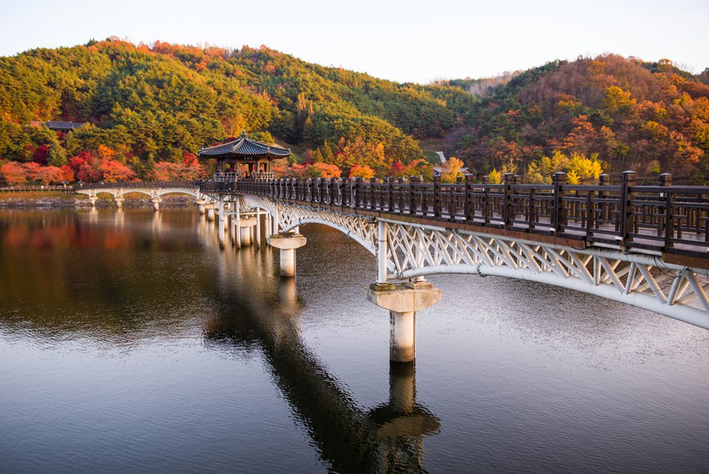 Wolyeonggyo Bridge, a wooden bridge in Andong, South Korea. Photo by kikujungboy CC.