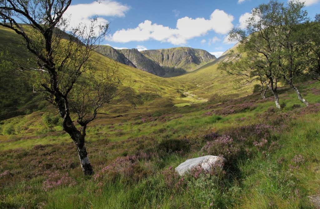 Creag Meagaidh National Nature Reserve in Scotland