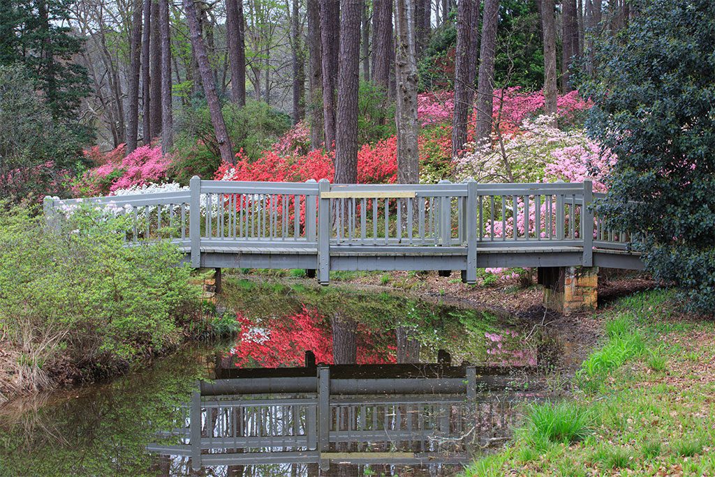 Pedestrian bridge over a lake surrounded by trees and vegetation.