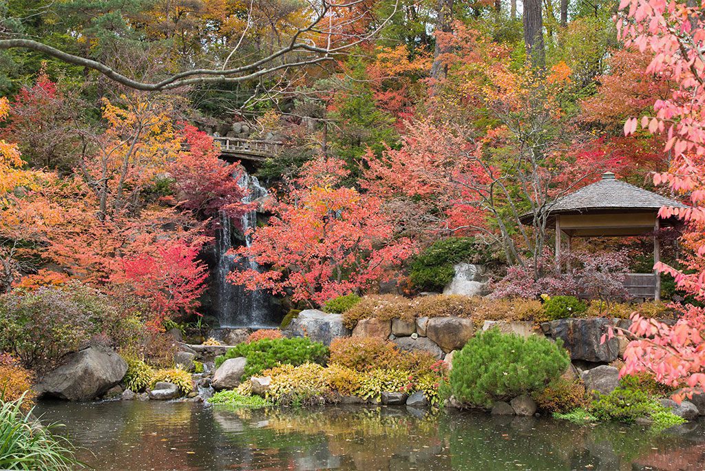 Japanese garden with trees and water features.