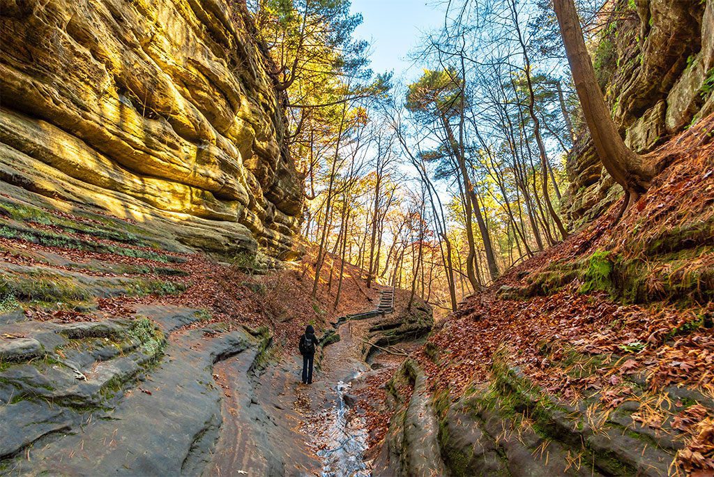 View of the canyons at Starved Rock State Park in Illinois
