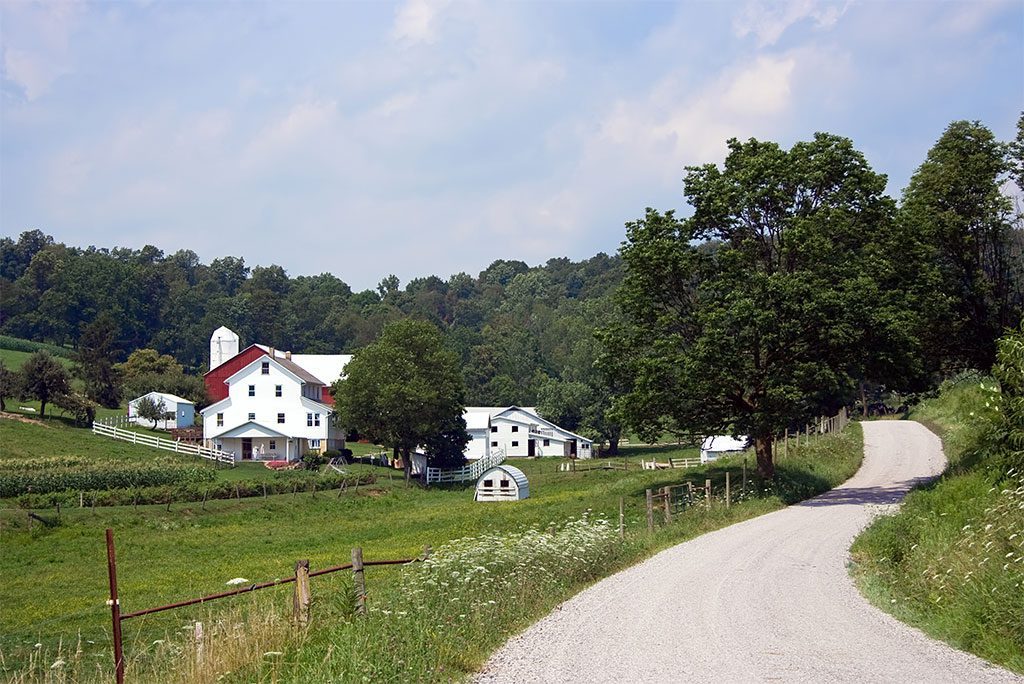 A farm with a white house and barn surrounded by fields and trees 
