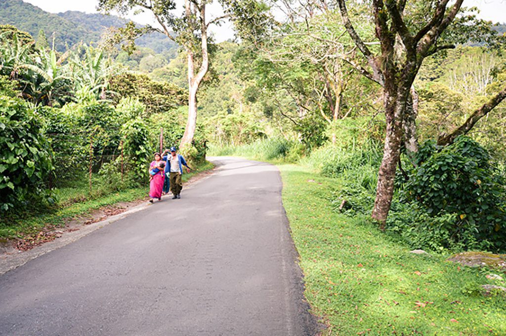 Indigenous family from the Ngabe-Bugle tribe walks the road through the caffeinated highlands of Boquete, Chiriqui region, Panama.