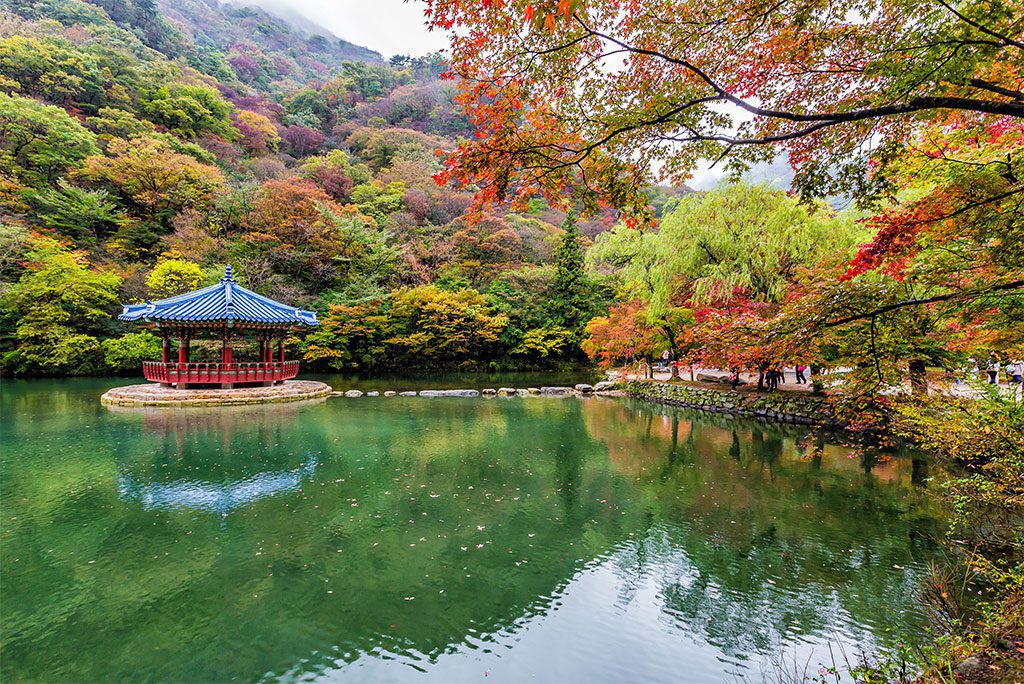 Naejangsan National Park in autumn, South Korea