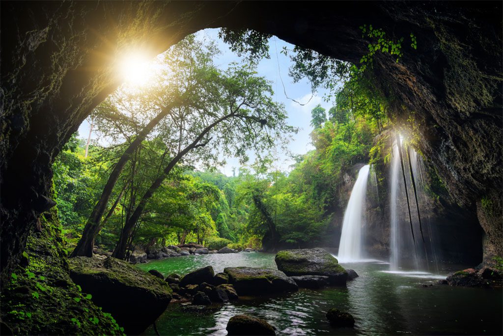 A powerful waterfall in a lush green forest