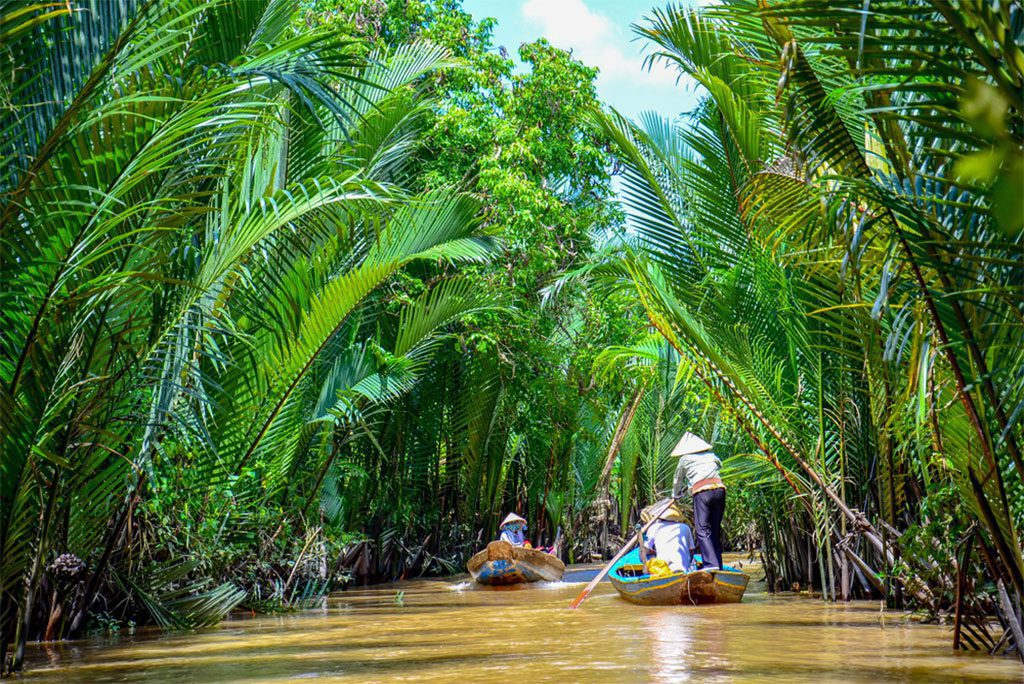 Paddle boats in Mekong Delta, Vietnam