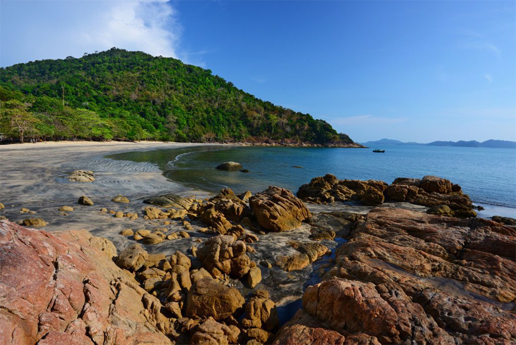 A scenic view of a beach surrounded by cliffs and trees