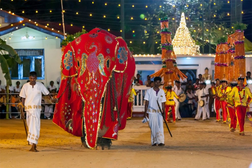 Ceremonial Elephant at Kataragama Festival