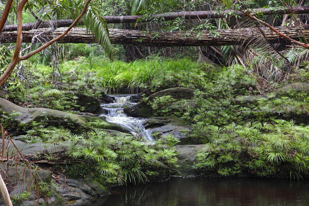 Tajor Waterfall, Bako National Park, Sarawak, Malaysia