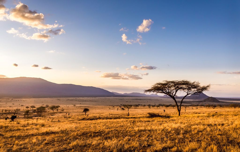 Sunset over savannah plains in Tsavo East National Park, Kenya.