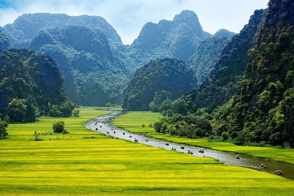 Rice field and river landscape in NinhBinh, Vietnam