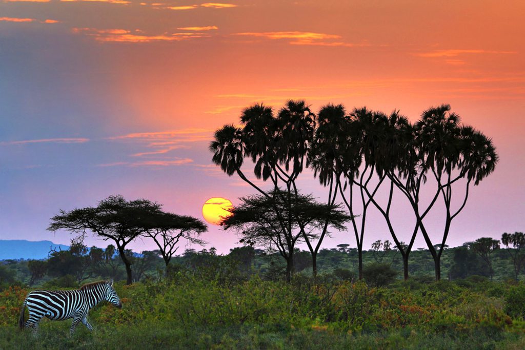 Sunrise over Samburu landscape in Kenya