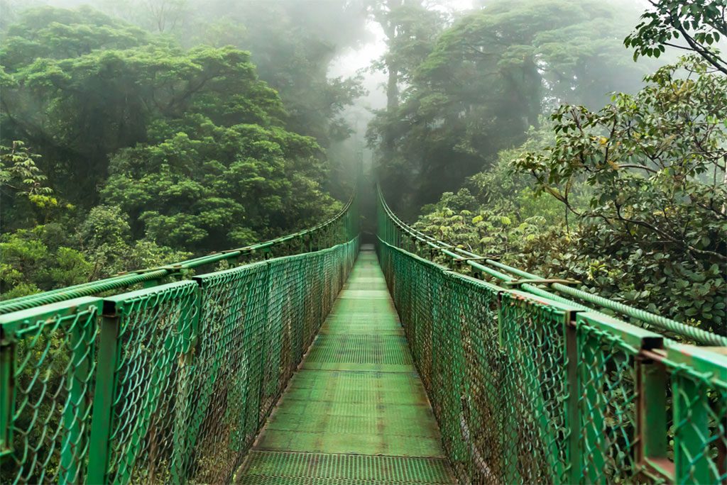 Suspension bridge at Monteverde Cloud Forest Reserve in Costa Rica.