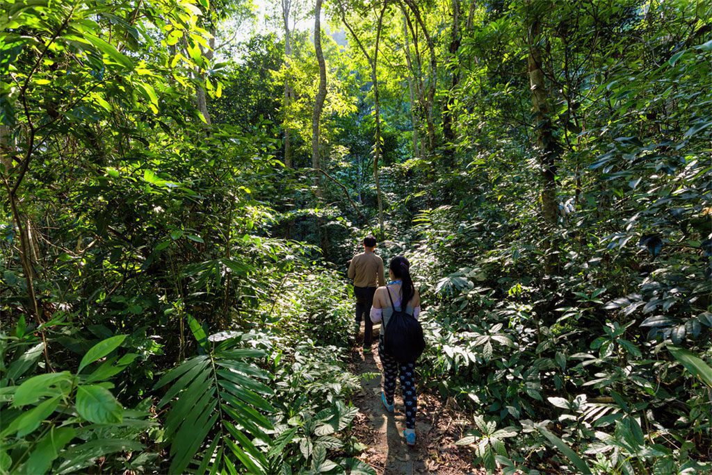 Trekkers hiking in jungle of Cat Ba Island in Halong Bay, Vietnam
