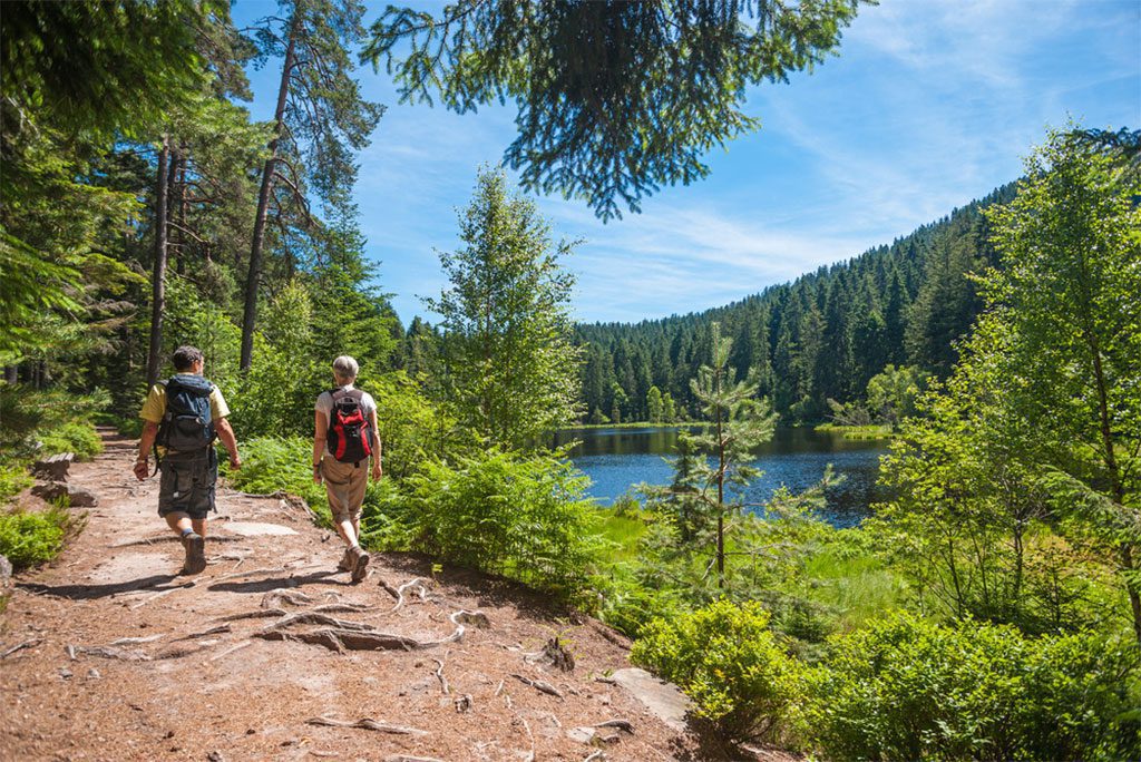 Hikers at the Herrenwieser See in Black Forest