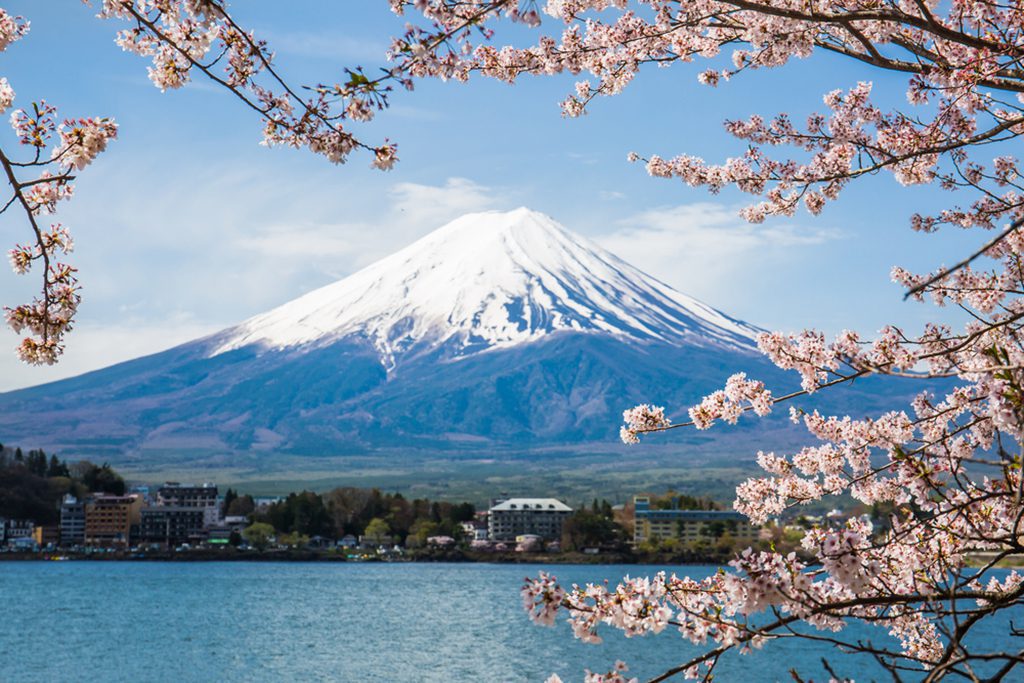 Mount Fuji with cherry blossoms at Lake Kawaguchiko, Japan