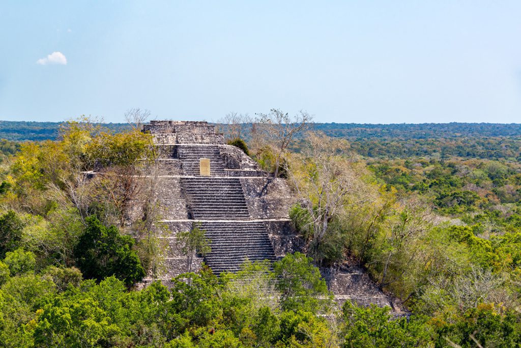 View of Calakmul pyramid in the rainforest, Mexico