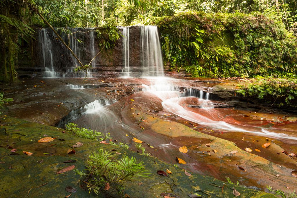 Waterfall in the jungle (Lambir Hill, Malaysia).