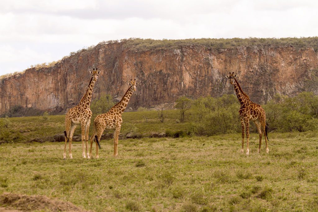 Hell's Gate National Park, Kenya