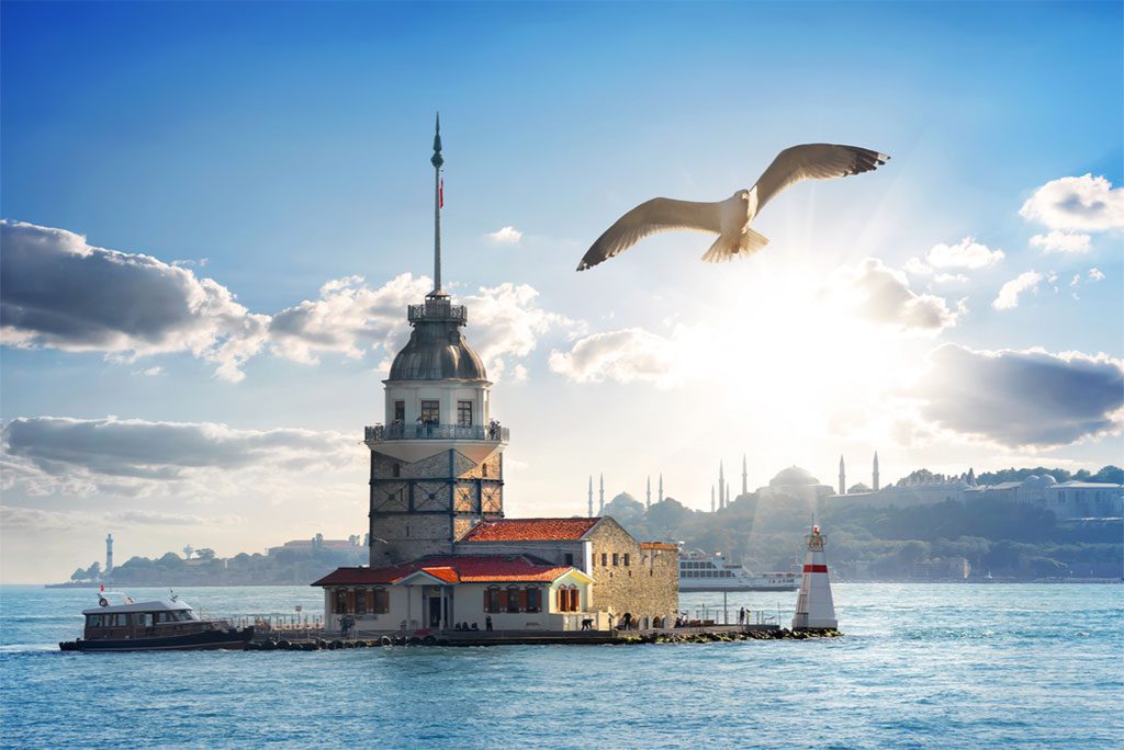 Seagull flying near Maiden's Tower in Istanbul, Turkey by givaga.