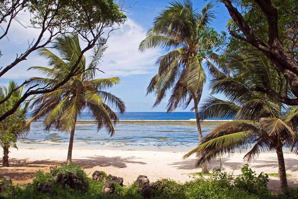 Tiwi Beach in Kenya, with clear turquoise water, white sand, and palm trees