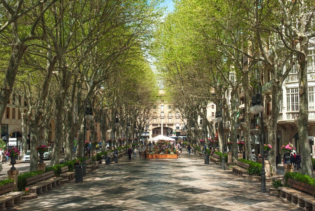 Pedestrian boulevard lined with trees and shops in Palma de Mallorca, Spain.