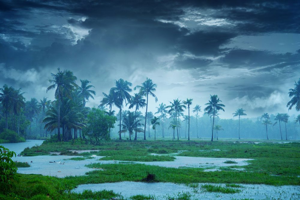 Beautiful Kerala flood plain landscape with a cloudy sky during the rainy season.