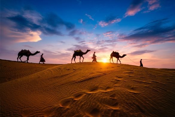 Indian cameleers camel driver with camel silhouettes at dunes during sunset in Jaisalmer, Rajasthan, India - Top 10 Places to Visit in Rajasthan