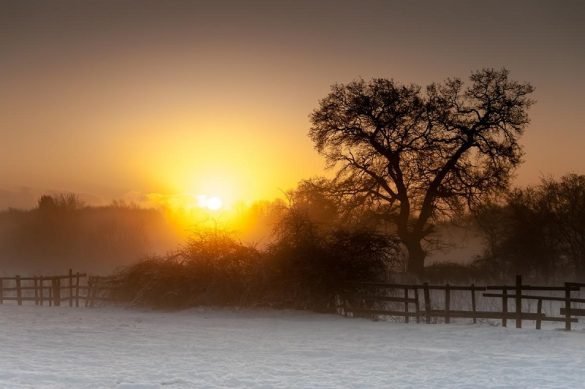 Sun rising above misty woodland: best places to go on holiday in december for sun
