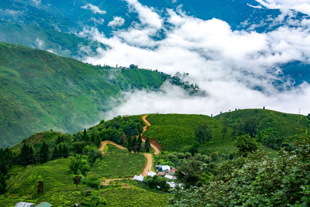 Best Time To Visit Sikkim - Gangtok and Darjeeling