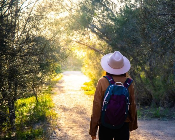 brisbane activities for adults