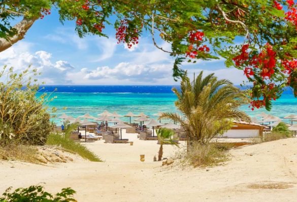 WHAT IS THE BEST BEACH IN EGYPT - Red Sea, Egypt
