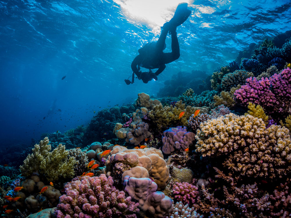 Hurghada's Scuba Diving