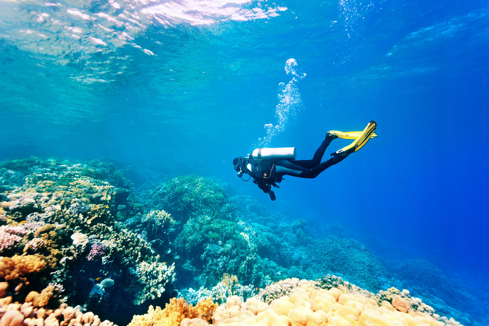Scuba Diving in Sharm El Sheikh