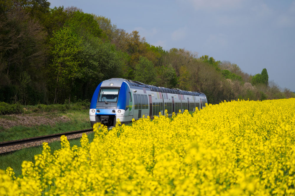 Best Cities in France to Visit by Train