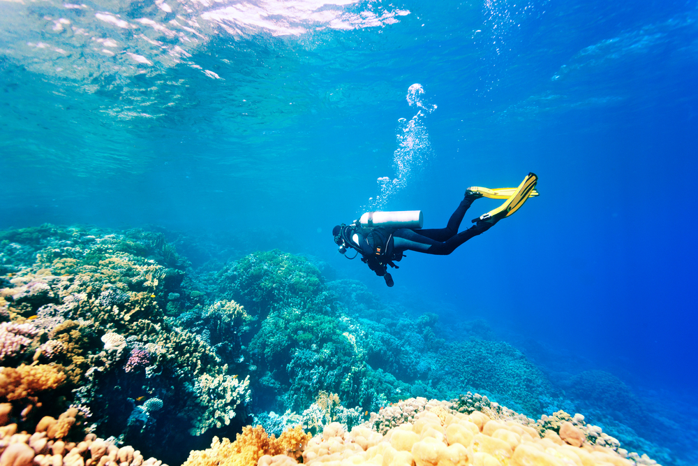 Snorkeling and Diving In Dahab