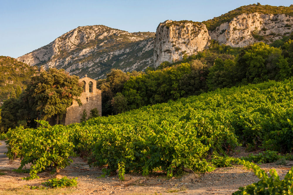 Relax and Unwind in the Languedoc Wine Region