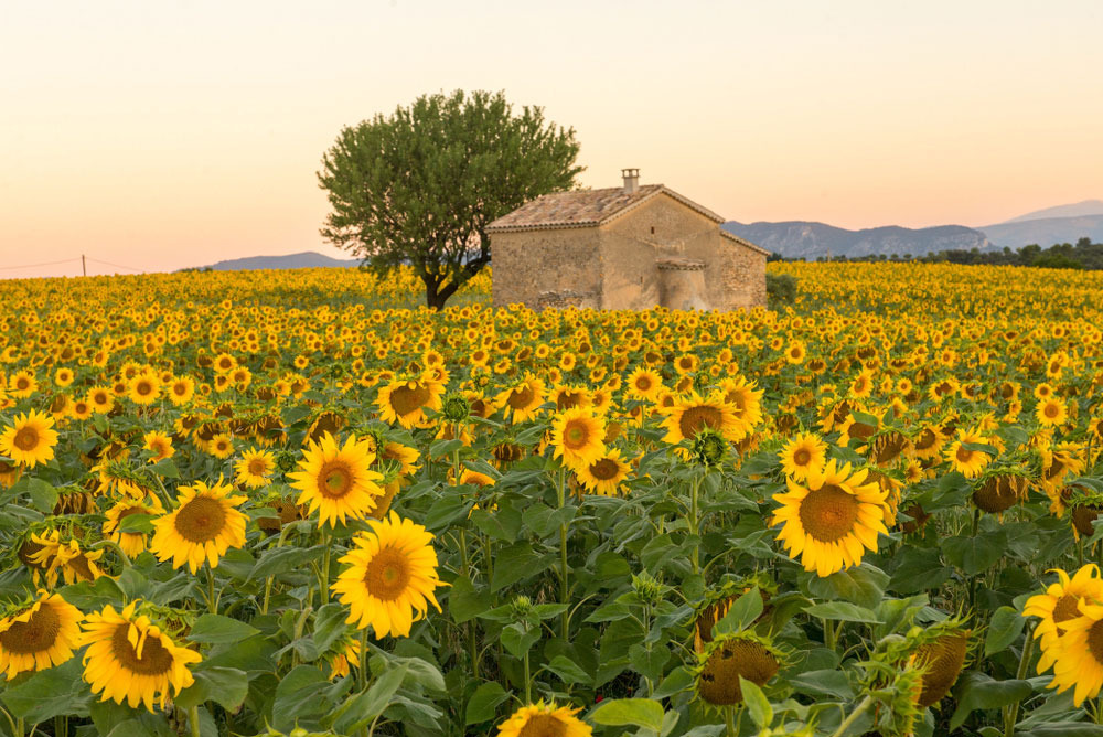 Quaint Villages of Provence
